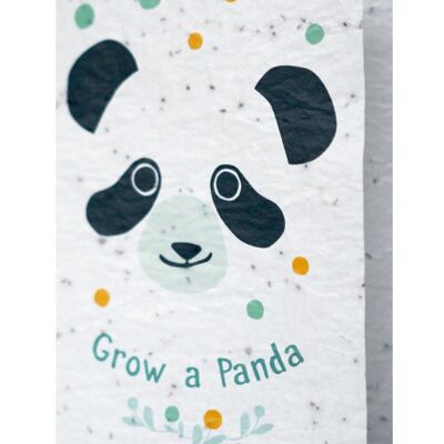 Wachstumsdiagramm - Züchte einen Panda