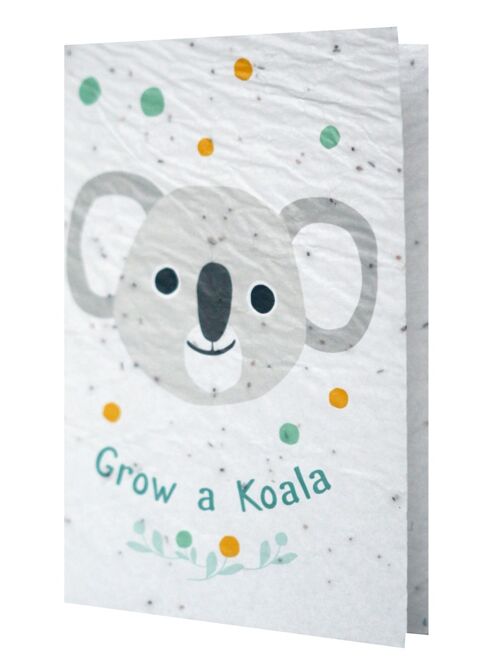 Groeikaart - Grow a Koala