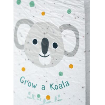 Wachstumsdiagramm - Züchte einen Koala