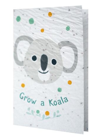 Courbe de croissance - Cultiver un Koala 1