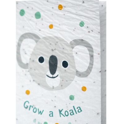 Groeikaart - Grow a Koala