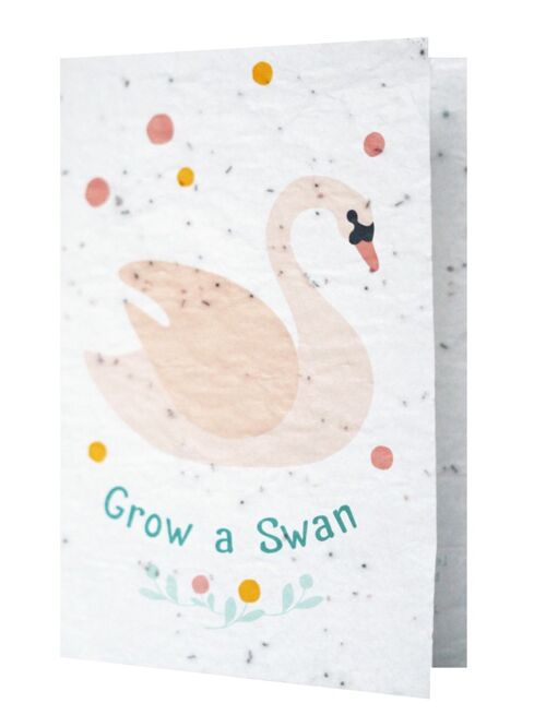 Groeikaart - Grow a Swan