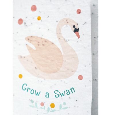 Groeikaart - Grow a Swan