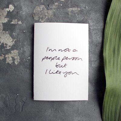 I'm Not A People Person But I Like You - Hand Foiled Greetings Card