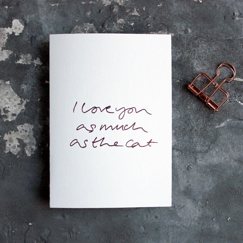 Ti amo tanto quanto il gatto