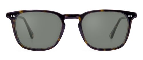 Randall Sun / Tortoise Brown - Non-prescription sunglasses
