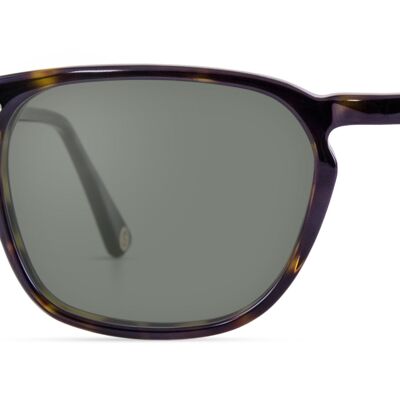 Randall Sun / Tortoise Brown - Non-prescription sunglasses