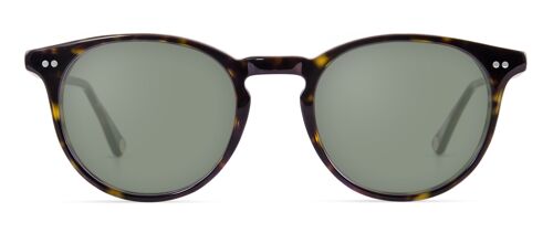 Lynch Sun / Tortoise Brown - Non-prescription sunglasses