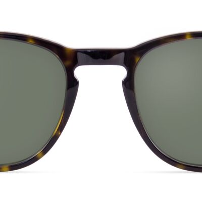 Highliner Sun / Tortoise Brown - Sonnenbrille ohne Sehstärke