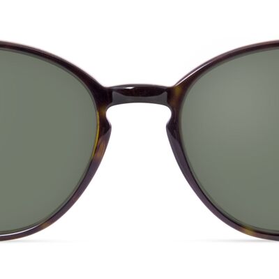 Farlow Sun / Tortoise Brown - Non-prescription sunglasses