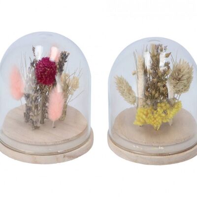 Dried flowers with bell jar 2 colors - 8x10 cm