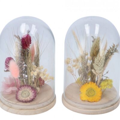 Dried flowers with bell jar 2 colors - 10 x 16 cm