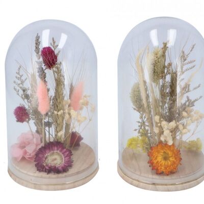 Trockenblumen mit Glasglocke 2 Farben - 12 x 21 cm