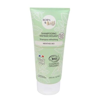 Refreshing Shampoo Oily Hair - Certified Organic