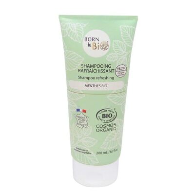 Shampooing Rafraîchissant Cheveux gras - Certifié Bio