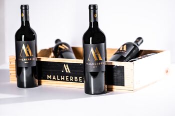 Pack découverte "GRAND VIN" : 2 cartons de Malherbes Grand Vin 2015 3