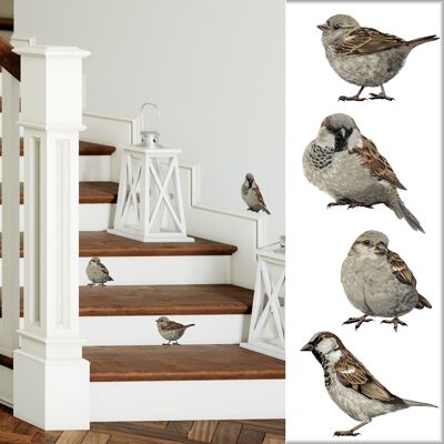 House Sparrows I Illustration Wall Decal