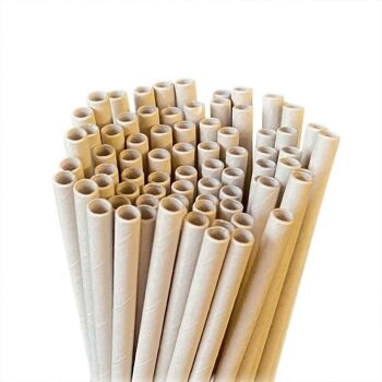 Pailles en bambou jetables Vie Gourmet, 197x6mm, 100 pièces 3