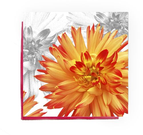 Dhalia Floral greeting card