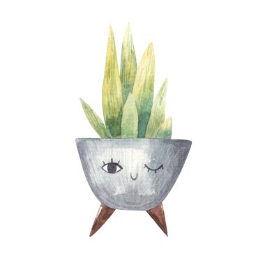 Aloe-ways be here for you , A5