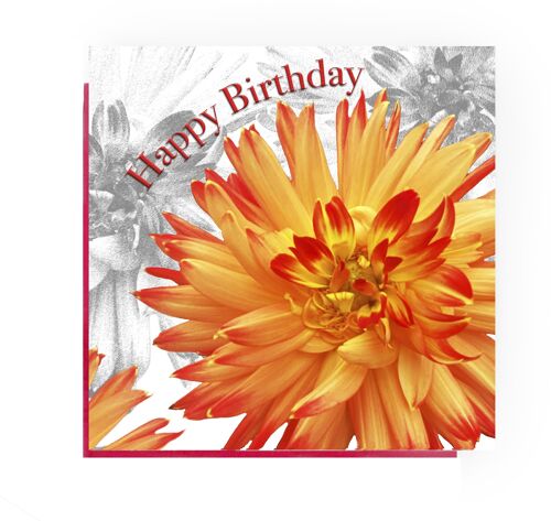 Happy Birthday Orange Dhalia greeting card - Dhalia birthday card