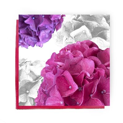 Carte de voeux hortensia - carte hortensia rose