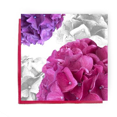 Carte de voeux hortensia - carte hortensia rose