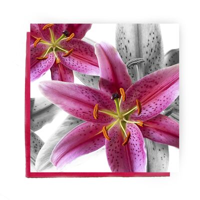 Stargazer-Lilien-Grußkarte - rosa Lilienkarte