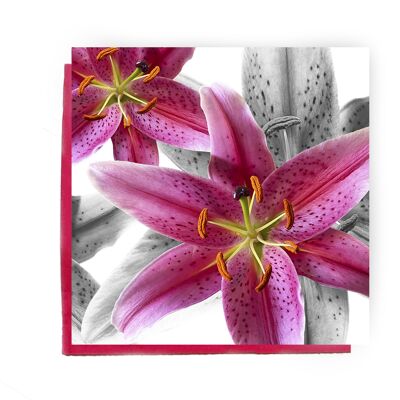 Stargazer Lily Greeting card - pink lily card