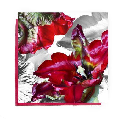 Parrot Tulip Tarjeta De Felicitación - tarjeta de tulipán rojo