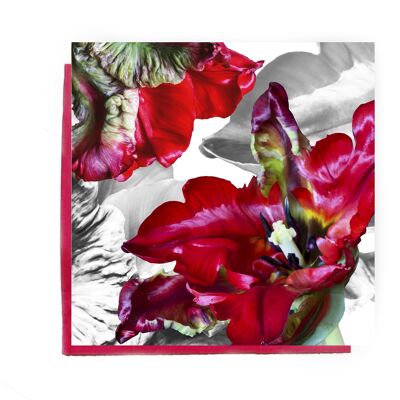 Cartolina d'auguri del tulipano del pappagallo - carta del tulipano rosso