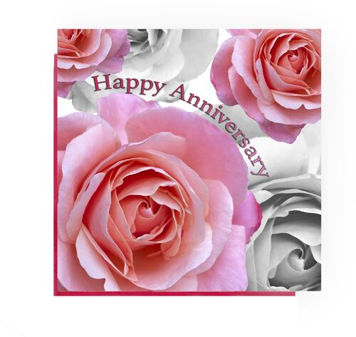 anniversary card - pink rose Anniversary greeting card