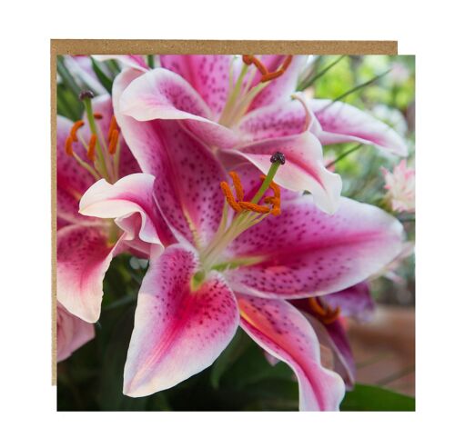 Lily greeting card