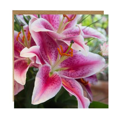 Lily greeting card