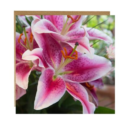 Lily greeting card