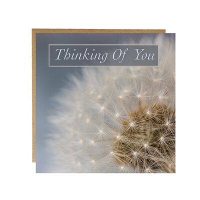Thinking of You greeting card - dandelion seed head greetingcard