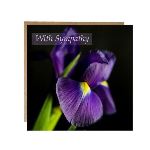With Sympathy card - sorry for your loss greeting card