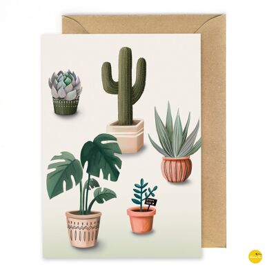 Plants - For every occasion