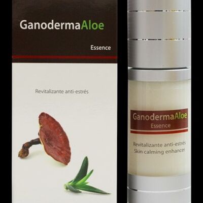 Ganoderma - Essence d'aloès