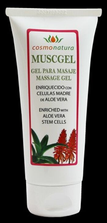 Gel musculaire-2