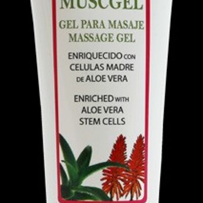 Gel Muscgel-2