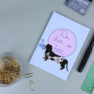 Postcard dachshund