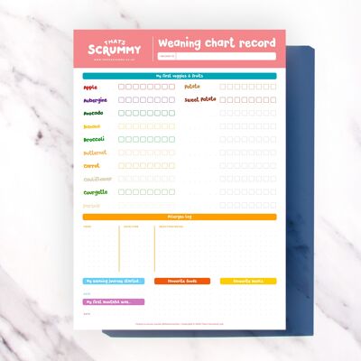 Baby Weaning Food Chart A4