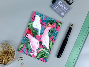 Carte postale perroquets rose 1