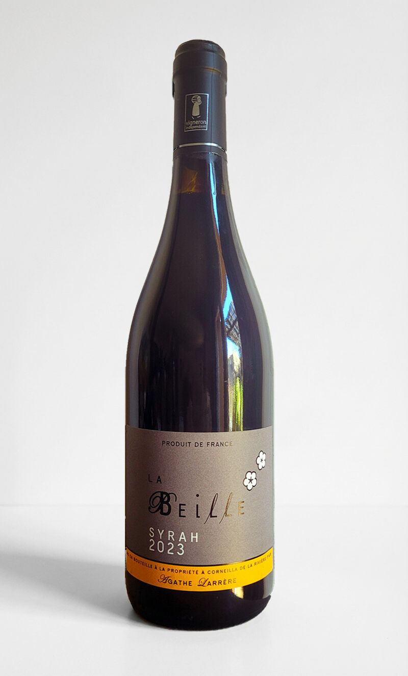 Syrah - 2023 vintage - 75cl - organic wine