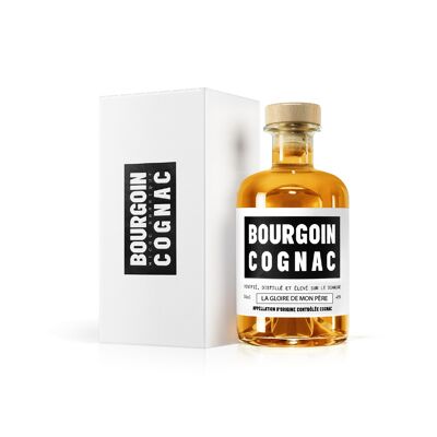 COGNAC XO, COGNAC BOURGOIN, LA GLORIA DI MIO PADRE 1990 35CL 43%