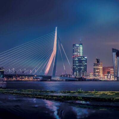Skyline Rotterdam 60cm - 120cm