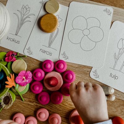 Flashcard di primavera - Carte da gioco sulla stagione - Risorsa per l'apprendimento Montessori
