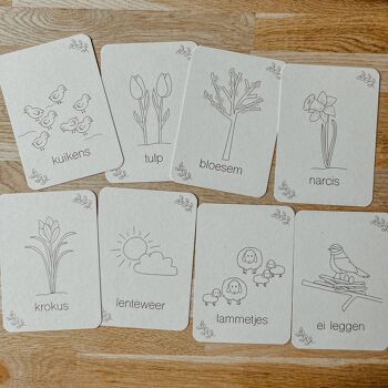 Flashcards du printemps - Cartes à jouer sur la saison - Ressource d'apprentissage Montessori 2