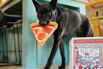 Snack Attack Collection - Puppy-roni Pizza 5